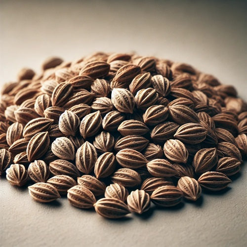 Benefits of Ajwain Seeds - Wholesale B2B Bulk Suppliers