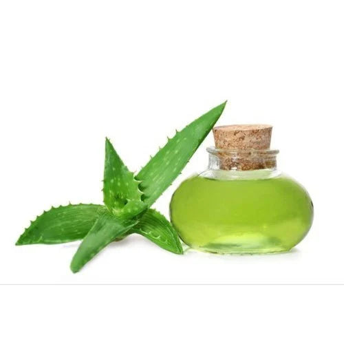 Benefits of Aloe Vera Oil - Wholesale B2B Bulk Suppliers