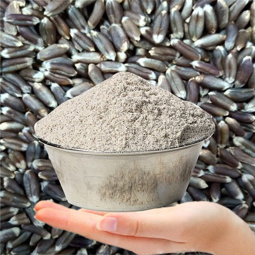 Benefits Of Black Wheat Powder - Wholesale B2B Bulk Suppliers