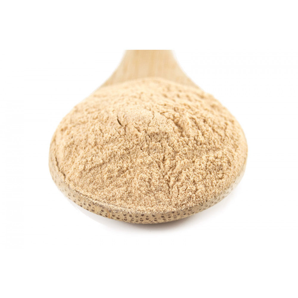 Benefits of Brazil Nuts Powder - Wholesale B2B Bulk Suppliers