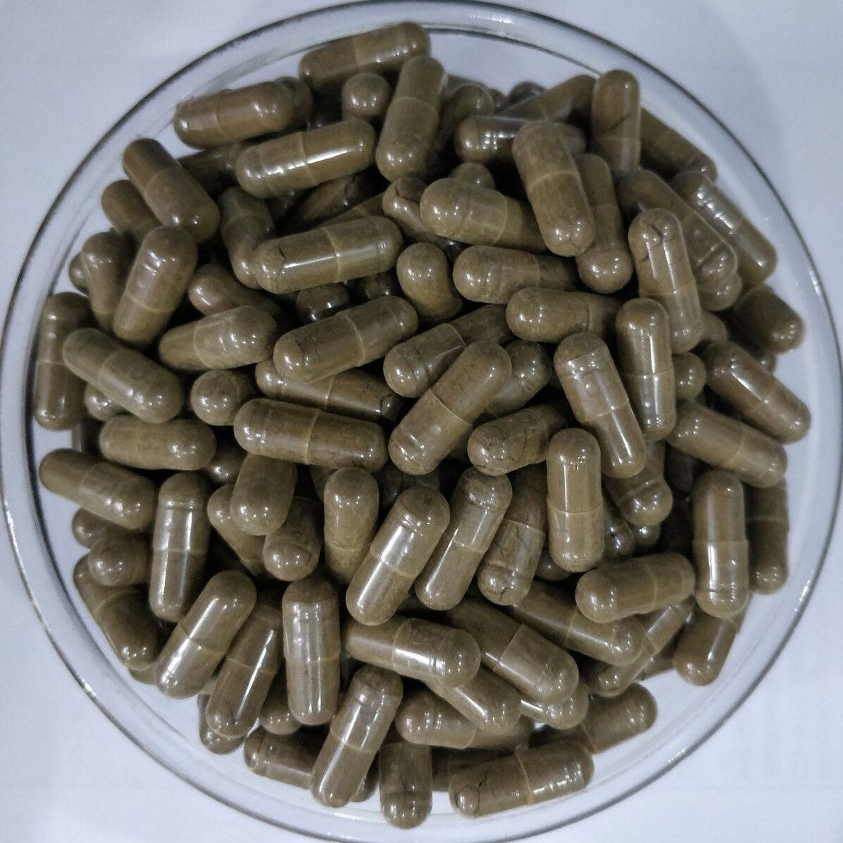 Benefits Of Buchu Capsules - Wholesale B2B Bulk Suppliers