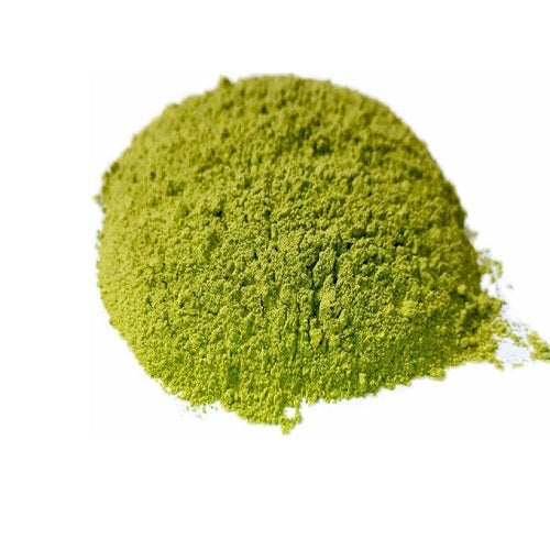 Benefits of Cactus Powder - Wholesale B2B Bulk Suppliers