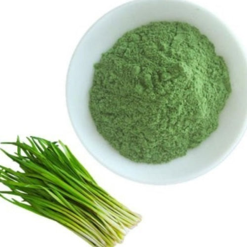Benefits of Chives Powder - Wholesale B2B Bulk Suppliers