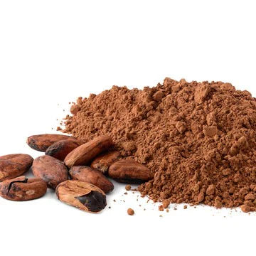 Benefits Cocoa/Cacao Powder - Wholesale B2B Bulk Suppliers