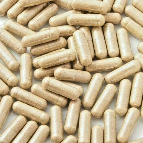 Benefits Of Cramp Bark Capsules - Wholesale B2B Bulk Suppliers