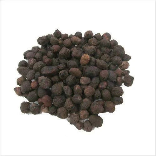 Benefits Of Dried Jamun Seeds - Wholesale B2B Bulk Suppliers