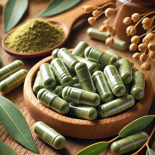 Benefits Of Eucalyptus Capsules - Wholesale B2B Bulk Suppliers