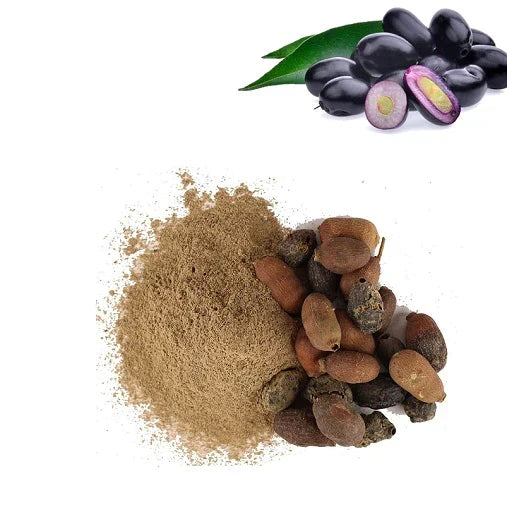 Benefits of Jamun seed Powder - Wholesale B2B Bulk Suppliers