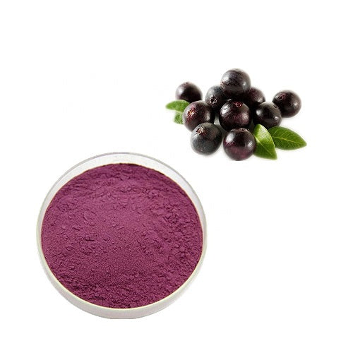 Benefits of Maqui Berry powder - Wholesale B2B Bulk Suppliers