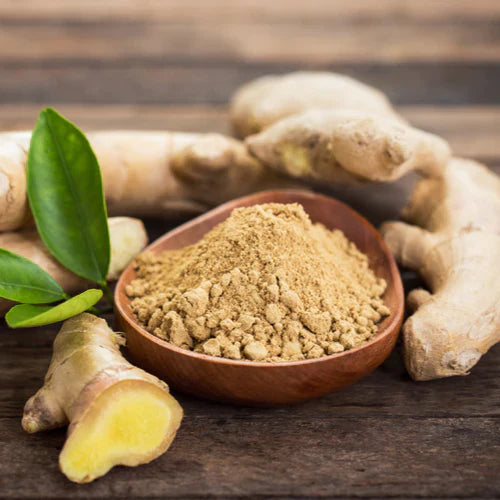 Benefits of Ginger Powder - Wholesale B2B Bulk Suppliers