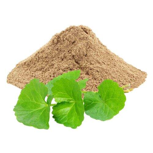 Benefits of Gotu Kola Powder - Wholesale B2B Bulk Suppliers