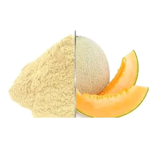 Benefits of Muskmelon powder - Wholesale B2B Bulk Suppliers