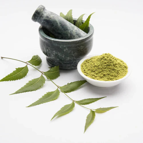 Benefits of Neem Leaf Powder - Wholesale B2B Bulk Suppliers