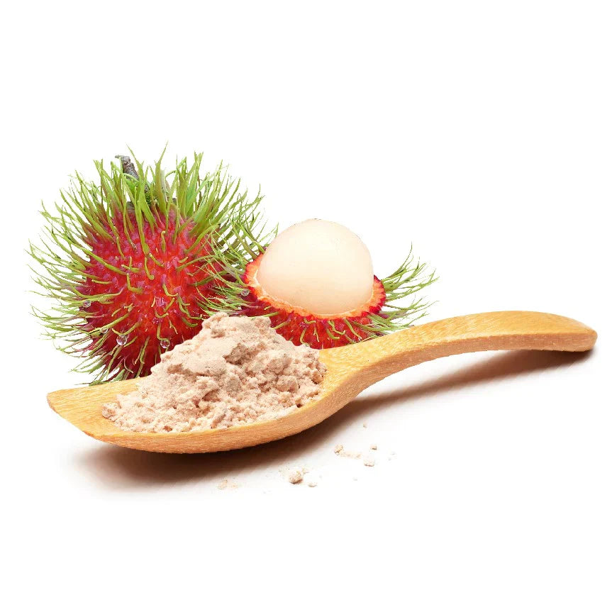 Benefits of Rambutan Powder - Wholesale B2B Bulk Suppliers