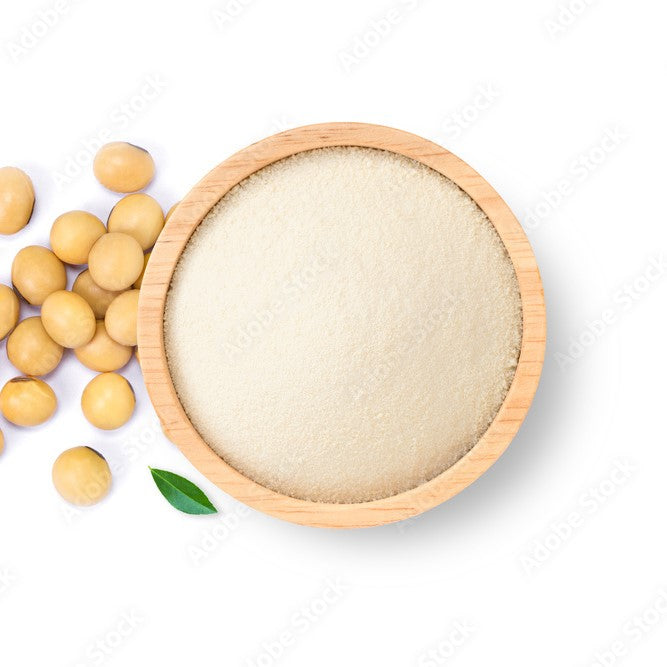 Benefits of Soy Milk Powder - Wholesale B2B Bulk Suppliers