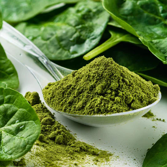 Benefits of Spinach powder - Wholesale B2B Bulk Suppliers