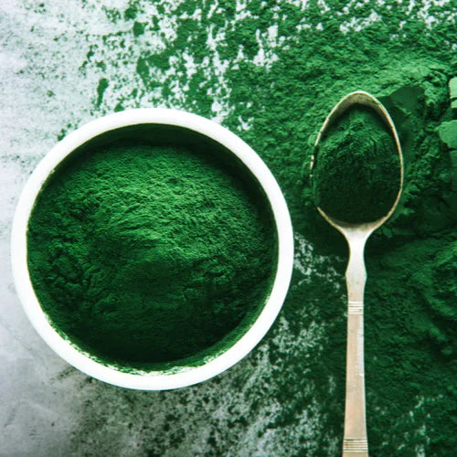 Benefits of Spirulina Extract Powder - Wholesale B2B Bulk Suppliers in Australia and New Zealand