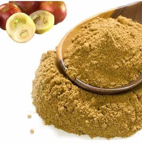 Benefits of Camu-Camu Extract Powder - Wholesale B2B Bulk Suppliers in Australia and New Zealand