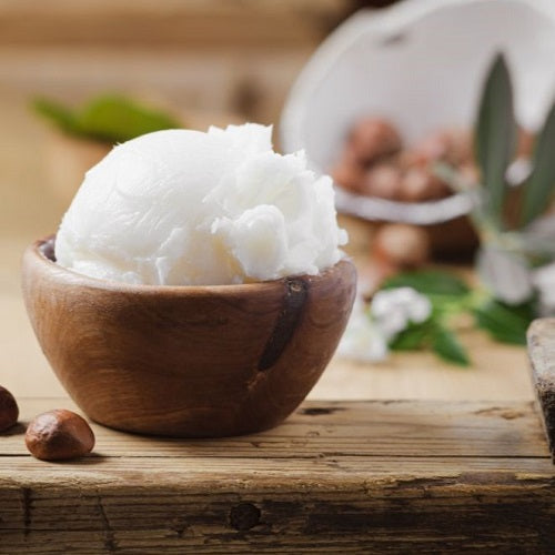 Benefits of Illipe Nut Oil - Wholesale B2B Bulk Suppliers