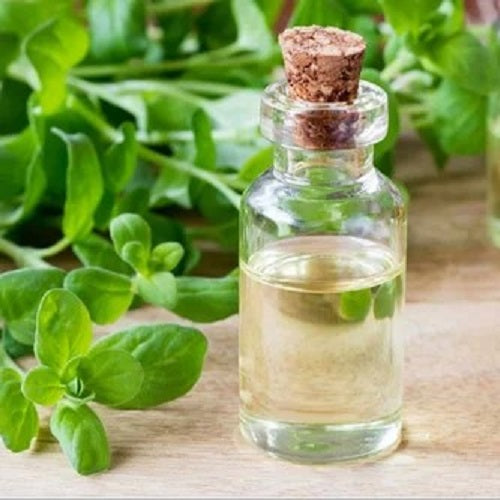 Benefits of Marjoram Leaf Oil - Wholesale B2B Bulk Suppliers