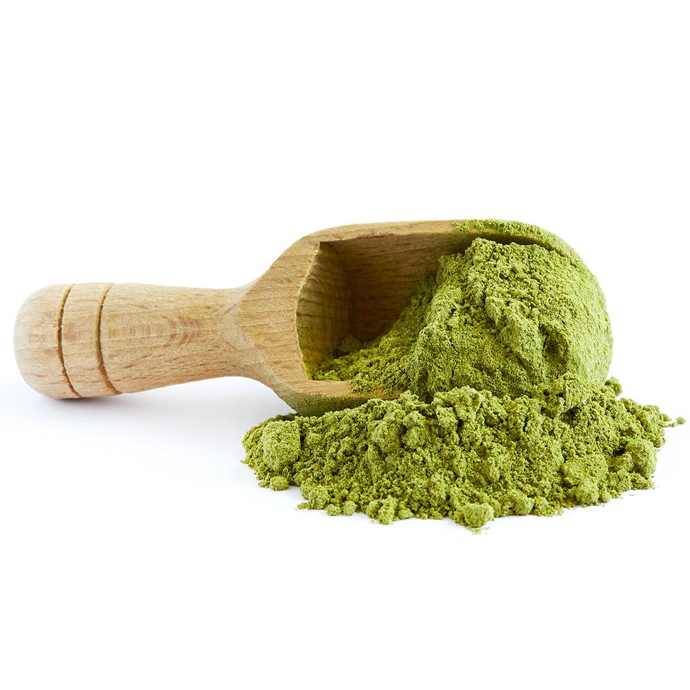 Moringa Powder: Now Just a Click Away at Medikonda.com