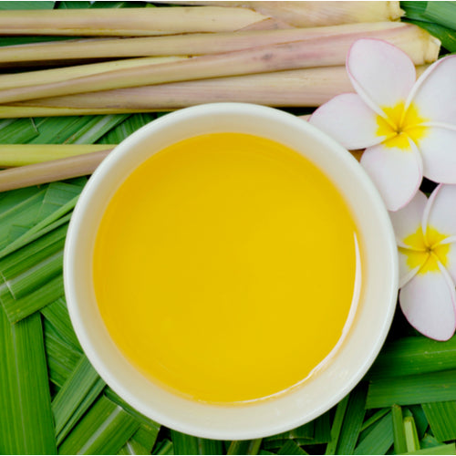 Benefits of Citronella Essential Oil - Wholesale B2B Bulk Suppliers in Australia and New Zealand