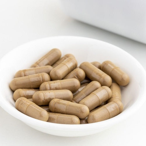 Benefits Of Skullcap Capsules - Wholesale B2B Bulk Suppliers