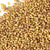Benefits of Alfalfa Seeds - Wholesale B2B Bulk Suppliers in Australia and New Zealand