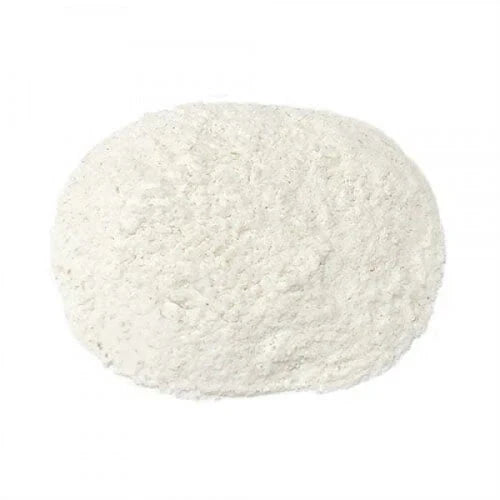 Benefits of Lacticaseibacillus Paracasei Probiotic Powder - Wholesale B2B Bulk Suppliers