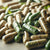 Benefits of Bugleweed Capsules - Wholesale B2B Bulk Suppliers in Australia and New Zealand