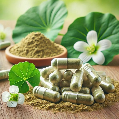 Benefits of Centella Asiatica Capsules - Wholesale B2B Bulk Suppliers in Australia and New Zealand