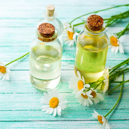 Benefits of Chamomile Essential Oil - Wholesale B2B Bulk Suppliers