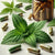 Benefits Of Horny Goat Weed Capsules - Wholesale B2B Bulk Suppliers