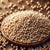 Benefits of Amaranth Seeds - Wholesale B2B Bulk Suppliers in Australia and New Zealand