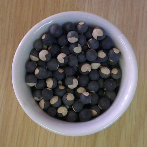 Benefits of Balloon Vine Seeds - Wholesale B2B Bulk Suppliers in Australia and New Zealand