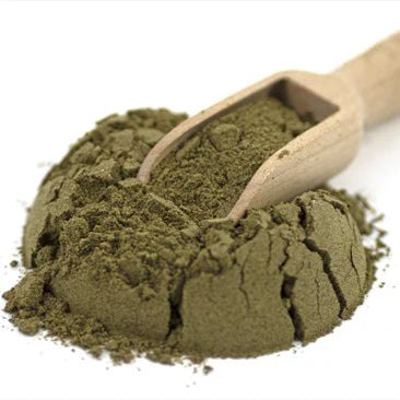 Bladderwrack Powder Benefits: Top Benefits of Bladderwrack Powder
