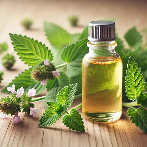 Benefits of Catnip Essential Oil - Wholesale B2B Bulk Suppliers in Australia and New Zealand