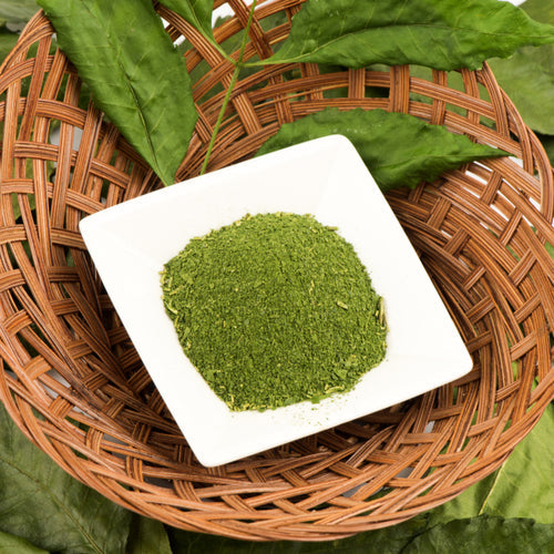 Benefits of Senna Leaf Powder - Wholesale B2B Bulk Suppliers in Australia and New Zealand