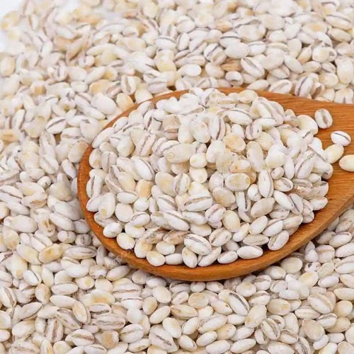 Barley Seeds