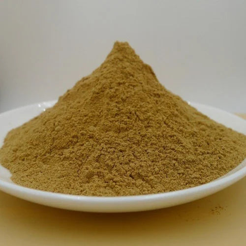 Celastrus Powder