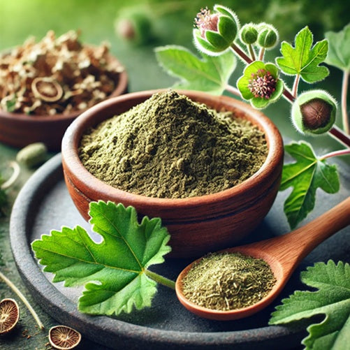 Figwort Powder