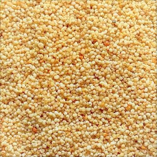 White Poppy Seeds