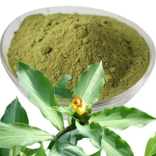 Costus Igneus Leaf Extract Powder